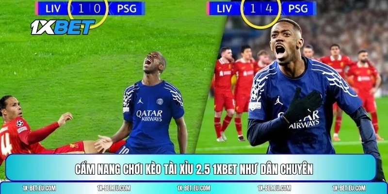 Kèo tài xỉu 2.5 1XBET